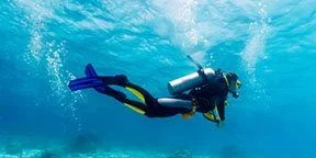 Buceo y snorkel en Ibiza