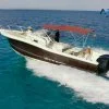 Location de la vedette Ibiza White Shark 07
